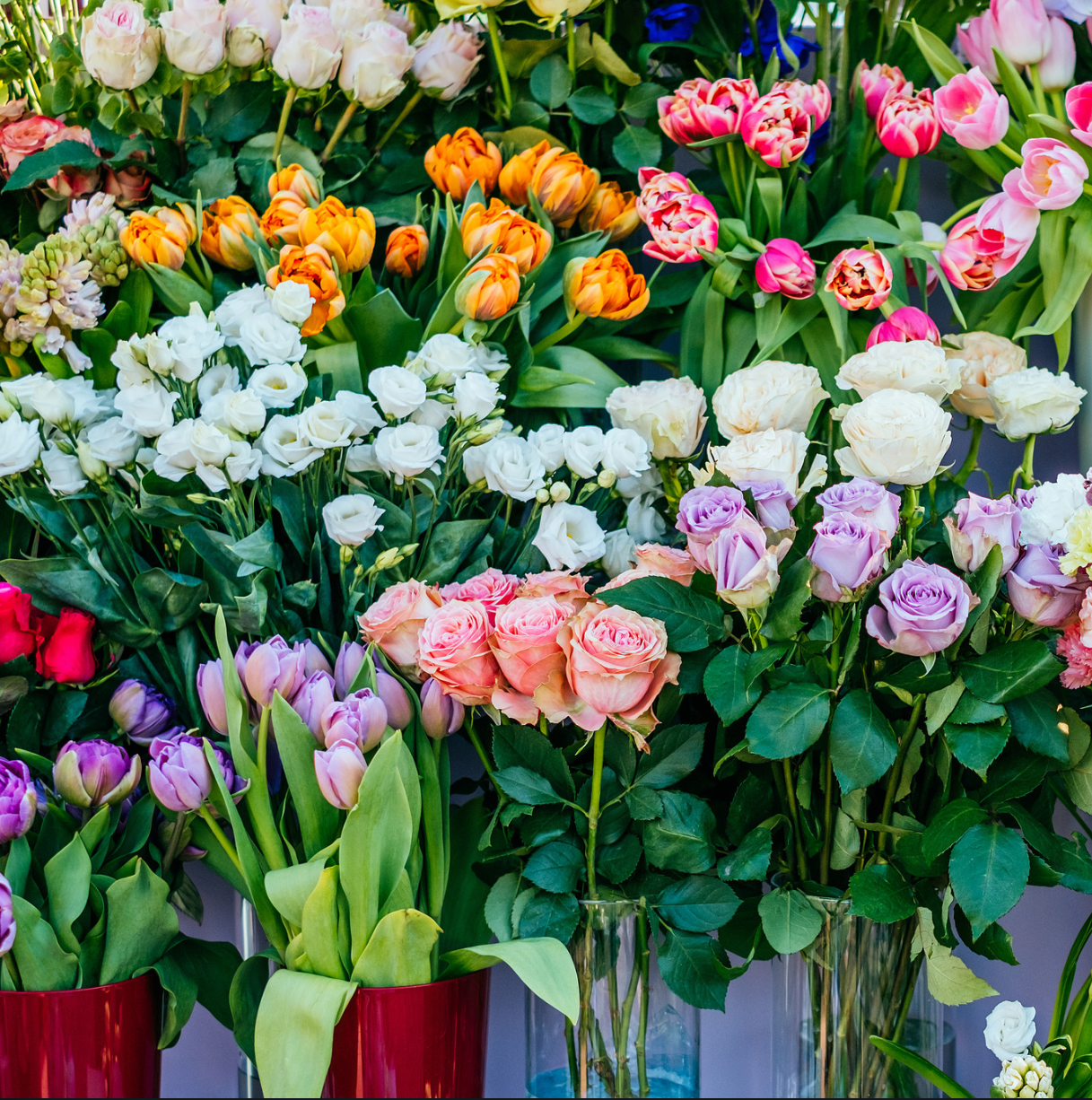 Market Blooms