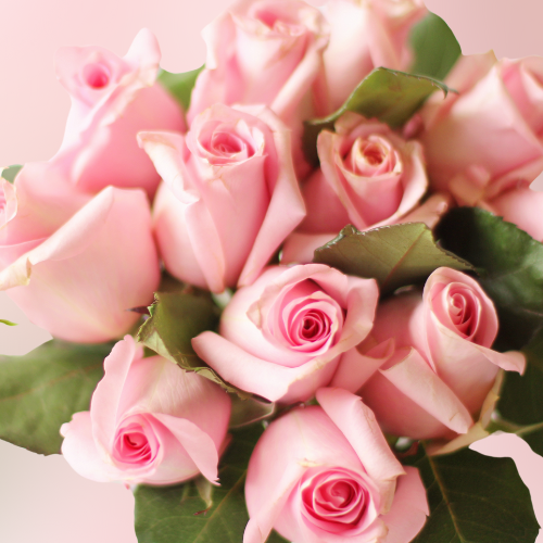 Pink Promise